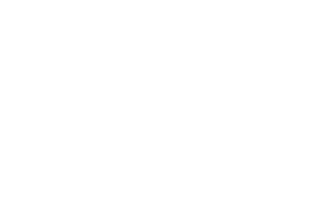 Vingroup Logo