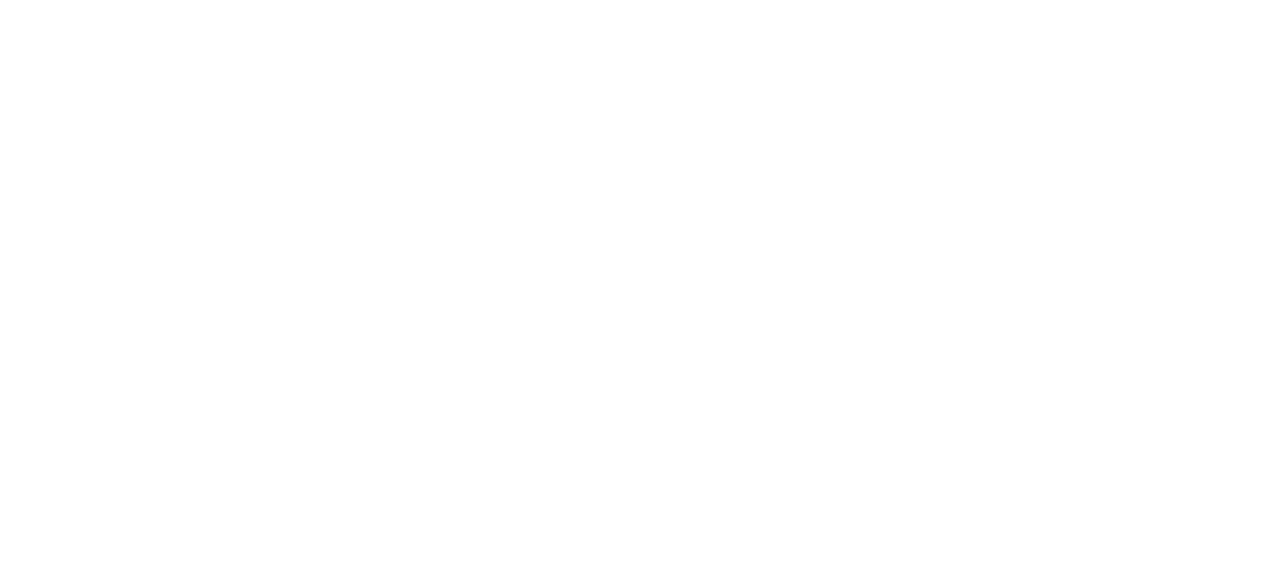 fis Logo